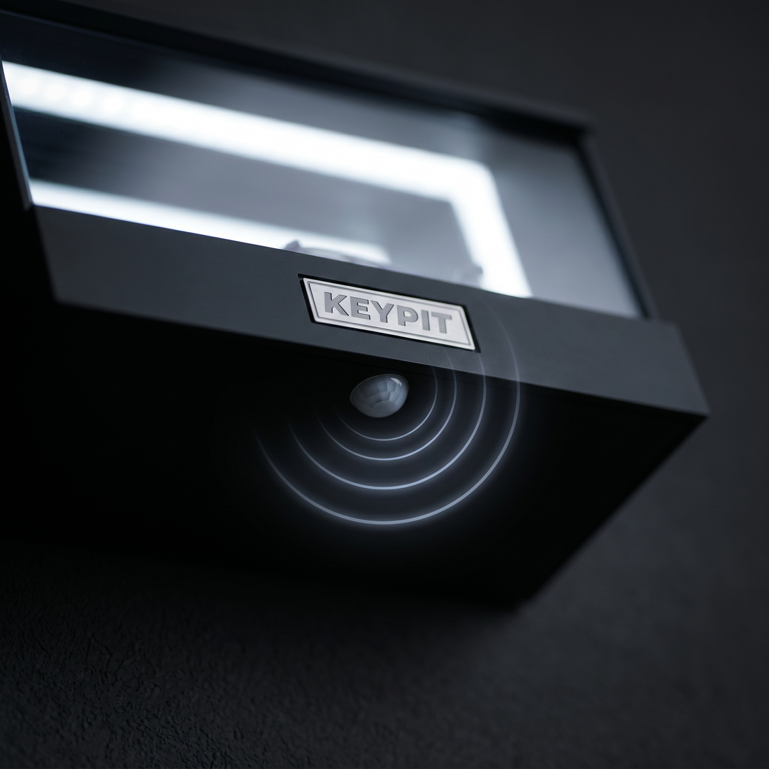 Motion sensor